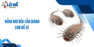 Nằm Mơ Đỉa Cắn Đánh Con Đề Gì - Luận Giải Từ Chuyên Gia