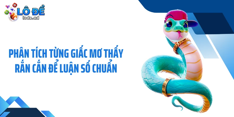 Phân tích từng giấc mơ thấy rắn cắn để luận số chuẩn